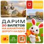 Встречаем осень на высоте! Дарим 20 билетов на канатную дорогу вместе с тематическим парком аттракционов «Орион»