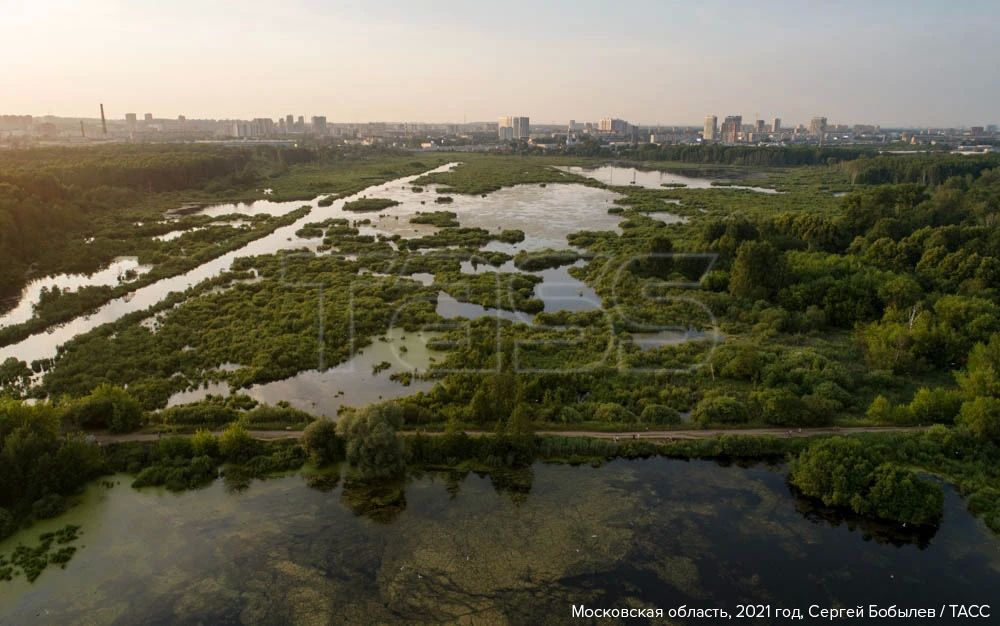 Национальный парк "Лосиный остров" в Москве