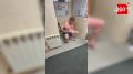 �������� � ����� �� ����������� �����