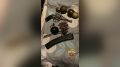 Тайник с оружием и взрывчатыми веществами изъяли полицейские столицы в Некрасовке
