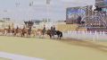 Новая глава в развитии отечественного коневодства: Центральный Московский ипподром открылся после комплексной реконструкции