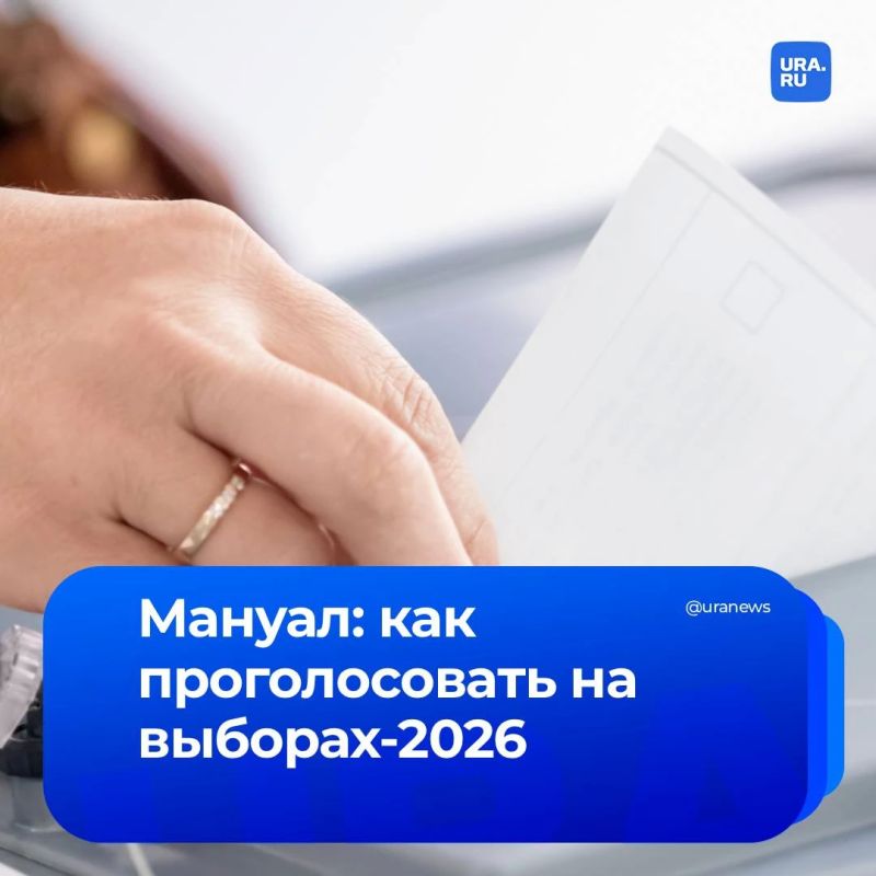 Инструкция для избирателя: как проголосовать и что взять с собой