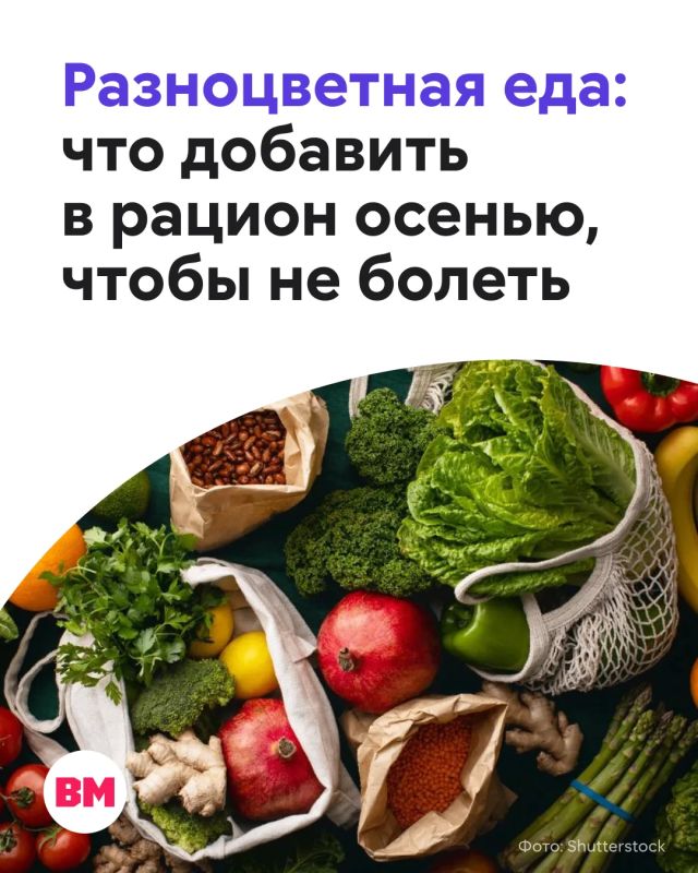Холод, слякоть, перепады температуры и сокращение светового дня — осенью организму особенно важны полноценное питание и разнообразный рацион