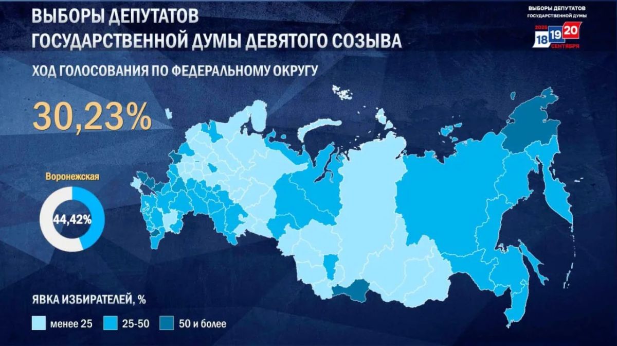 Явка на выборы в Госдуму превысила 30%, следует из данных на сайте Центризбиркома