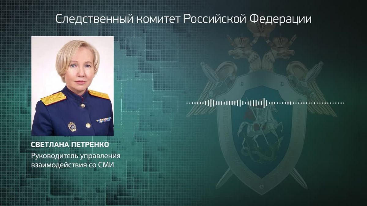 Официальный представитель СК России Светлана Петренко: