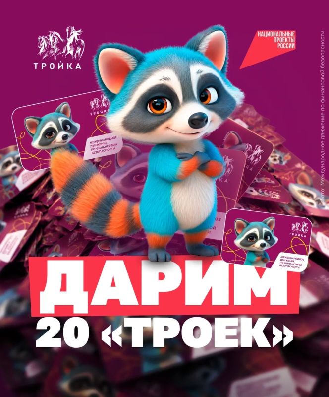 Знакомьтесь, енот Фини. И он может поселиться в вашем кошельке, если вы прочитаете пост до конца