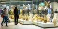 � ������������ ����� ������� ������ �����