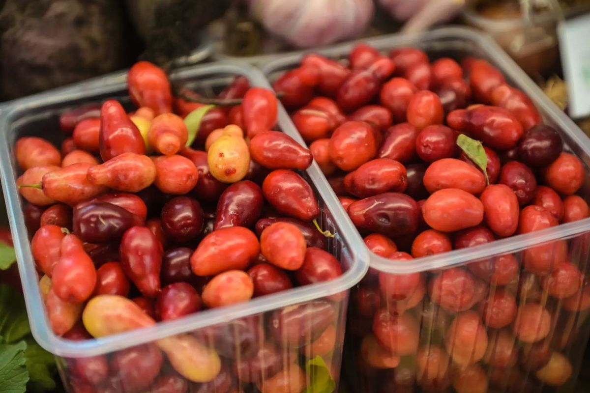 Кизил – достаточно редкий, но очень полезный продукт Кизил – достаточно редкий, но очень полезный продукт
