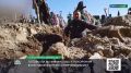 В ритуальной индустрии существует так называемый голый стандарт похорон — он включает простой гроб, стандартную транспортировку тела и работу копателей могилы