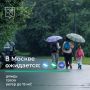 В Москве непогода. По прогнозам синоптиков, сегодня днем и вечером в отдельных районах столицы ожидается дождь и гроза с усилением ветра до 15 м/с