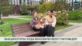 Россияне массово отправляются в вакциновые туры в Белоруссию, чтобы поставить прививку питомцам
