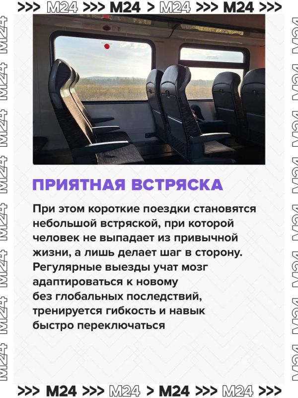 Учёные доказали: если регулярно устраивать себе короткие выезды, мозг начинает легче справляться с дилеммами Учёные доказали: если регулярно устраивать себе короткие выезды, мозг начинает легче справляться с дилеммами