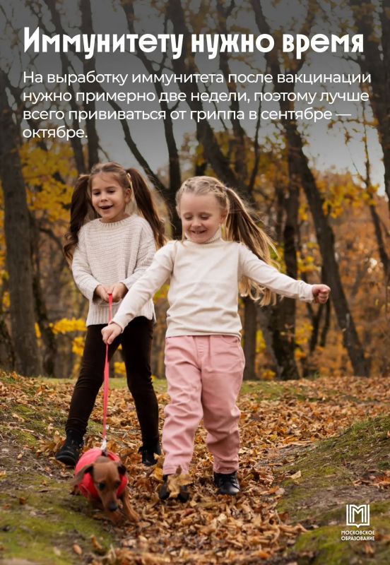 Готовимся к сезону гриппа заранее Готовимся к сезону гриппа заранее