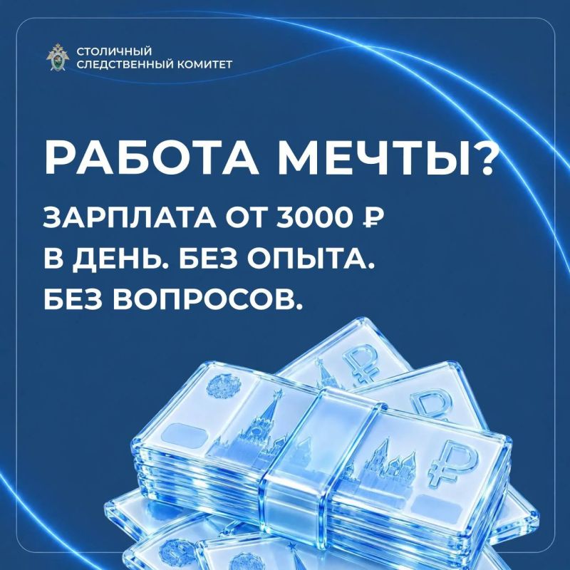 «Работа мечты» — до первого задания