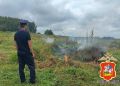 Около 300 килограммов дикорастущей конопли уничтожили под Луховицами