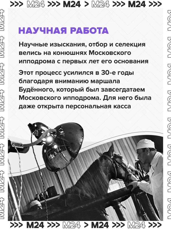 Центральный Московский ипподром на Беговой после реконструкции снова становится главной ареной конного спорта страны Центральный Московский ипподром на Беговой после реконструкции снова становится главной ареной конного спорта страны