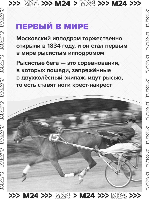 Центральный Московский ипподром на Беговой после реконструкции снова становится главной ареной конного спорта страны Центральный Московский ипподром на Беговой после реконструкции снова становится главной ареной конного спорта страны