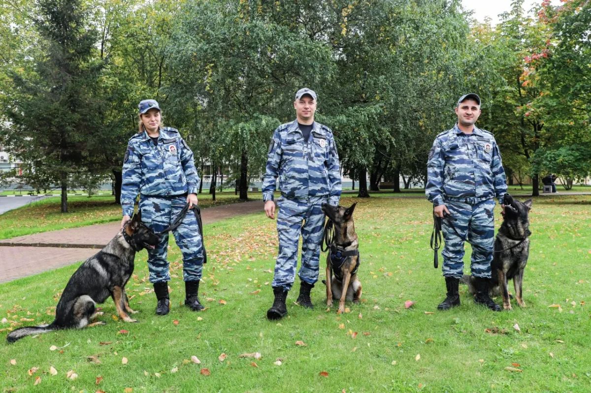 Настоящая взрывчатка — настоящая проверка мастерства Настоящая взрывчатка — настоящая проверка мастерства