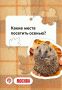 Сегодня день туризма! Давайте влюбляться в Москву заново