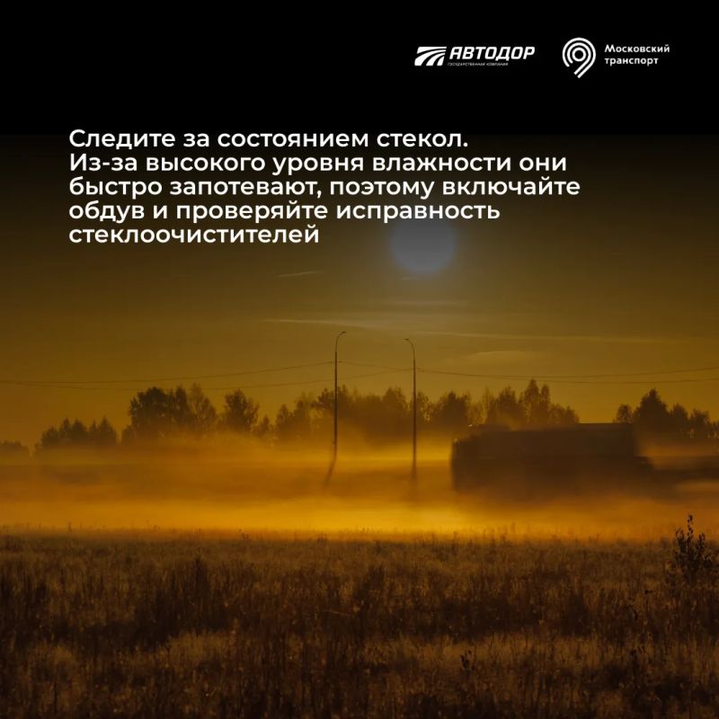 Как безопасно управлять автомобилем в условиях ограниченной видимости? Как безопасно управлять автомобилем в условиях ограниченной видимости?