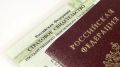 Мошенники стали чаще использовать место работы и номер СНИЛС потенциальной жертвы для обмана, предупредили в МВД