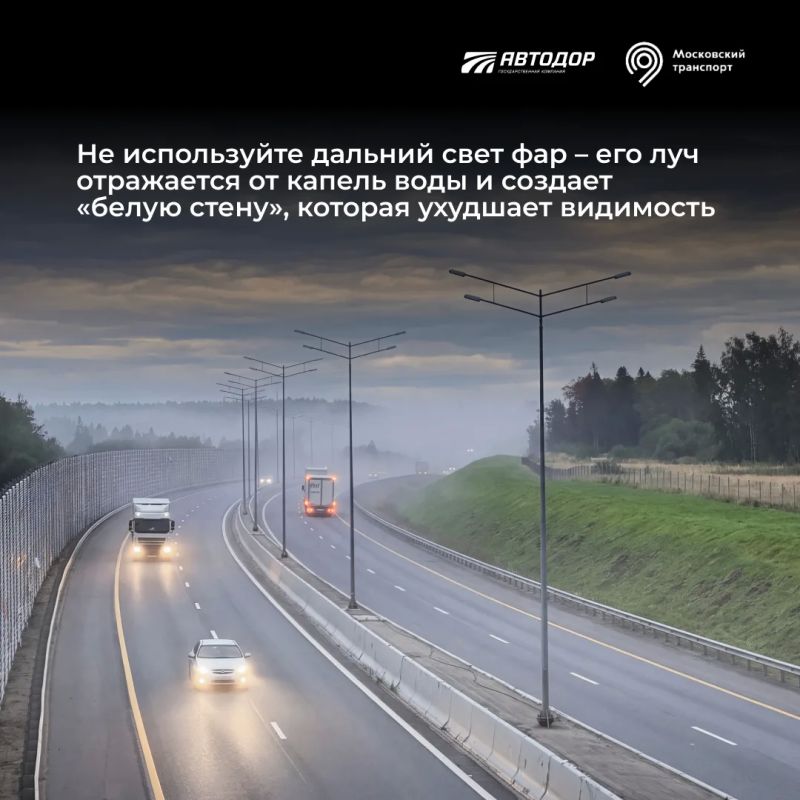 Как безопасно управлять автомобилем в условиях ограниченной видимости? Как безопасно управлять автомобилем в условиях ограниченной видимости?