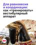 Укачивает в машине или кружится голова на карусели? Возможно, дело в вестибулярном аппарате