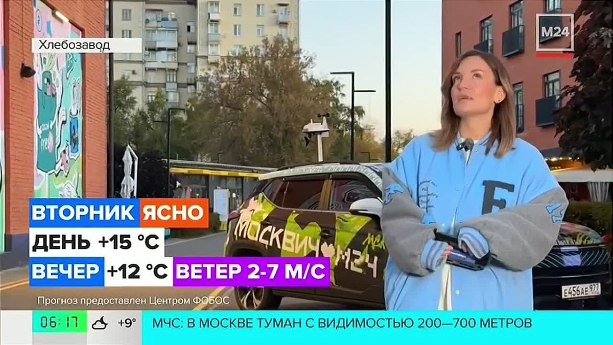 АТМОСФЕРА: днём в Москве потеплеет минимум до +15