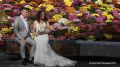 �� ������� "���������" �������� ������ ��� ���������� �������� ��������, �������� � �������� ����-�������� ����������