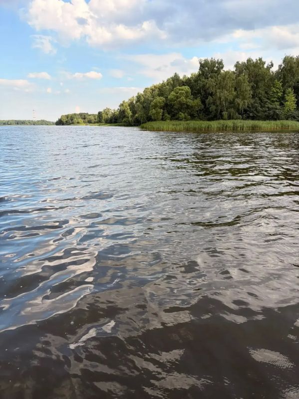 Завершено расследование уголовного дела в отношении судоводителя, допустившего столкновение маломерного судна с лодкой в акватории канала имени Москвы Завершено расследование уголовного дела в отношении судоводителя, допустившего столкновение маломерного судна с лодкой в акватории канала имени Москвы