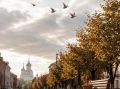 Из Москвы начали улетать кукушки