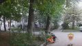 «Догнал, сбил с ног и избил»: полицейские столицы в кратчайшие сроки раскрыли жестокий разбой