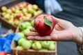 Значительную часть гуманитарных грузов, которые предприниматели собирают для бойцов спецоперации, занимают продукты питания