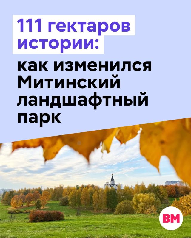 Митинский ландшафтный парк сильно изменился: вместо заросшей и неосвещенной территории с грунтовыми тропинками здесь появилось полноценное пространство для отдыха