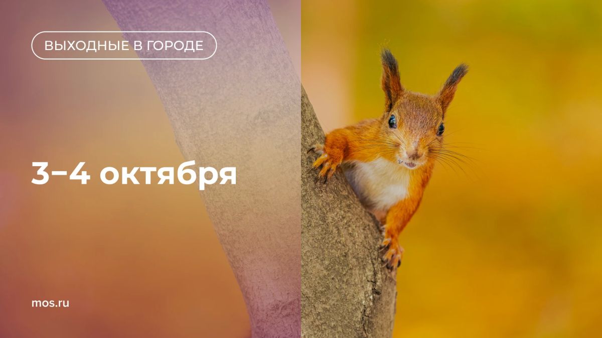 Вот и пятница! Собрали интересные мероприятия в эти выходные