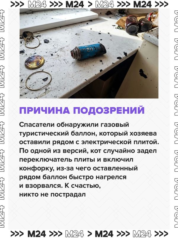 Кот мог включить плиту и спровоцировать взрыв в многоэтажном доме в Одинцове, рассказали в МЧС Кот мог включить плиту и спровоцировать взрыв в многоэтажном доме в Одинцове, рассказали в МЧС
