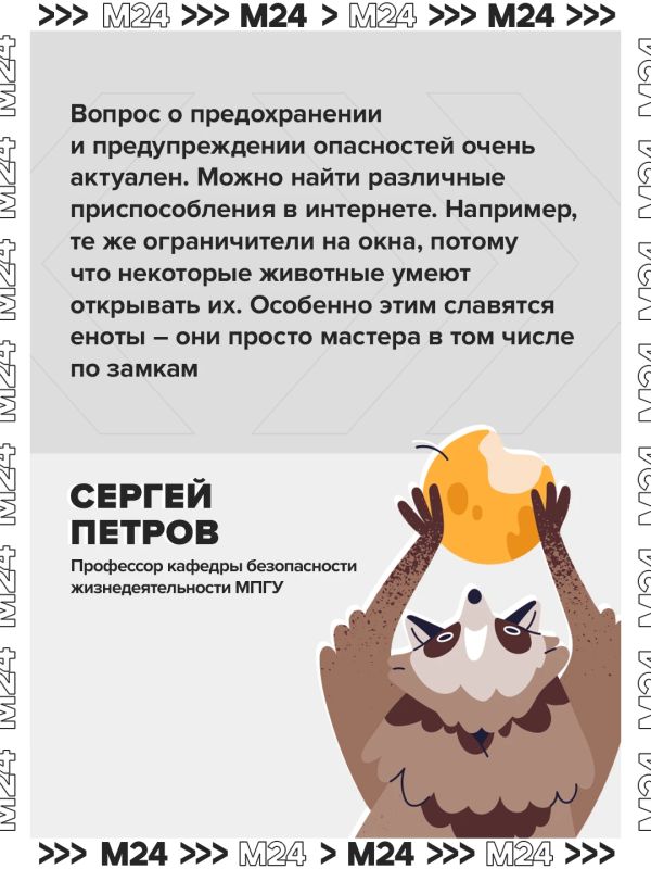 Кот мог включить плиту и спровоцировать взрыв в многоэтажном доме в Одинцове, рассказали в МЧС Кот мог включить плиту и спровоцировать взрыв в многоэтажном доме в Одинцове, рассказали в МЧС