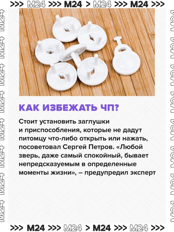 Кот мог включить плиту и спровоцировать взрыв в многоэтажном доме в Одинцове, рассказали в МЧС Кот мог включить плиту и спровоцировать взрыв в многоэтажном доме в Одинцове, рассказали в МЧС