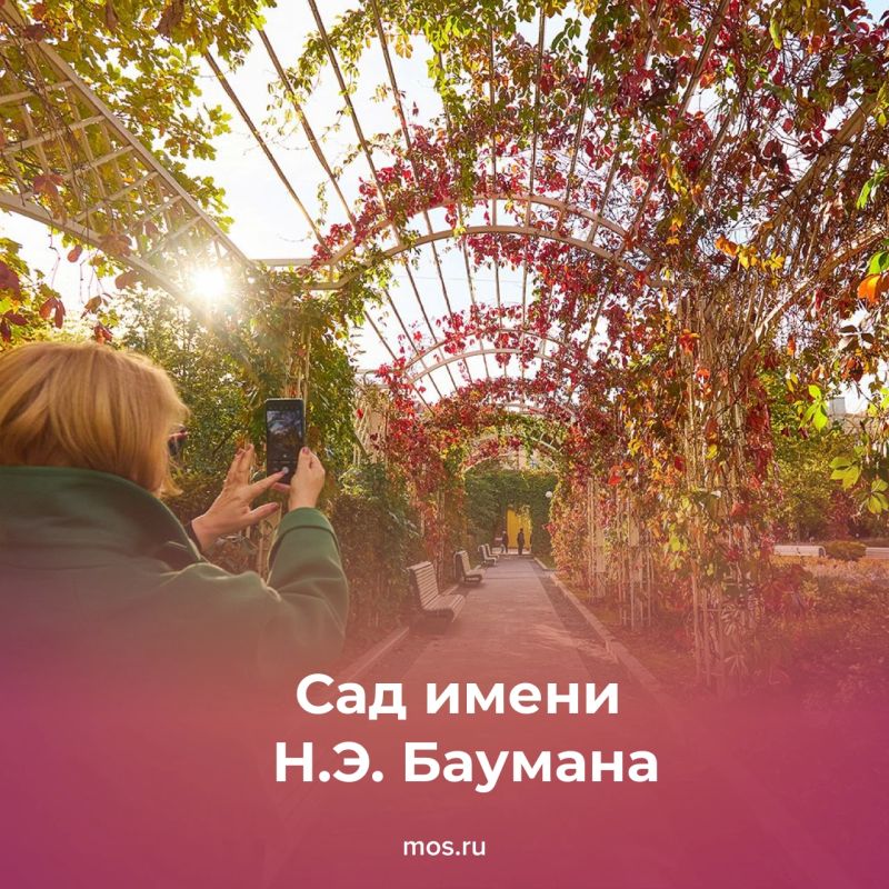 Москва осенью особенно красива Москва осенью особенно красива