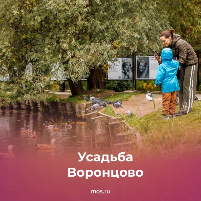 Москва осенью особенно красива Москва осенью особенно красива