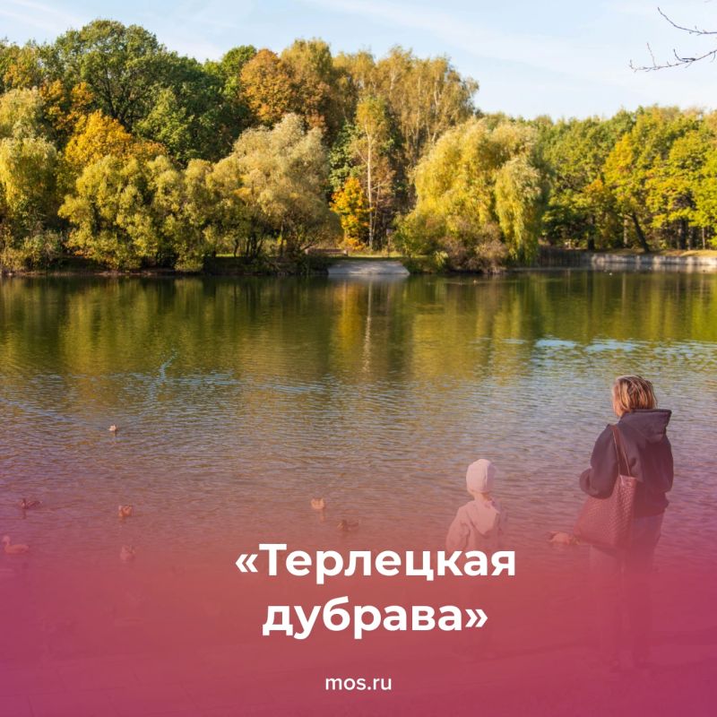 Москва осенью особенно красива Москва осенью особенно красива