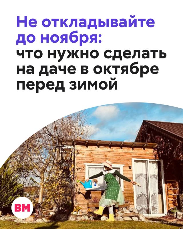 Октябрь на даче — время не только убирать урожай и опавшие листья, но и готовить растения к зиме
