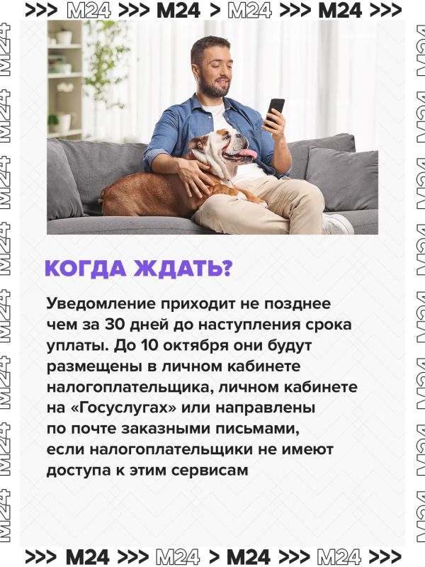 Москвичам уже приходят налоговые уведомления Москвичам уже приходят налоговые уведомления