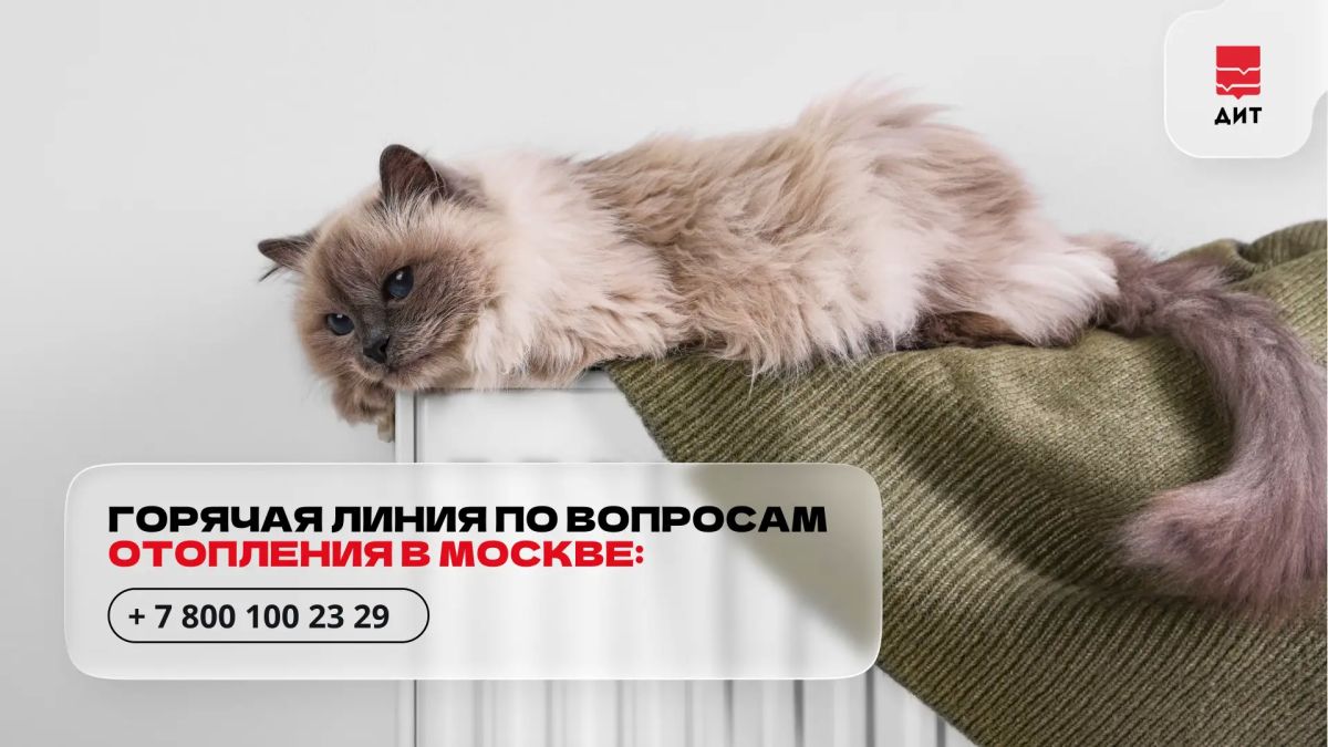 В Москве работает горячая линия по вопросам отопления