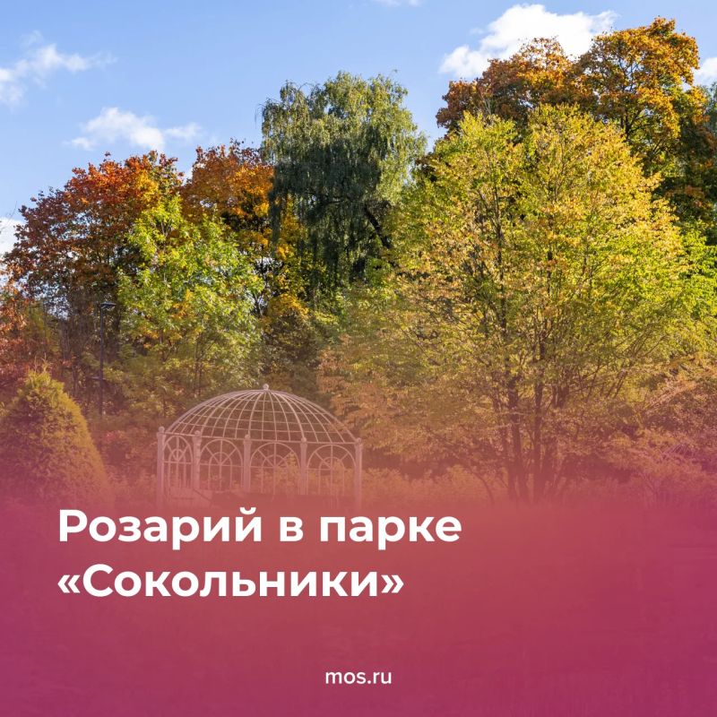 2026 год стал юбилейным сразу для нескольких столичных парков — «Сокольников», Измайловского, Фестивального и Лианозовского 2026 год стал юбилейным сразу для нескольких столичных парков — «Сокольников», Измайловского, Фестивального и Лианозовского