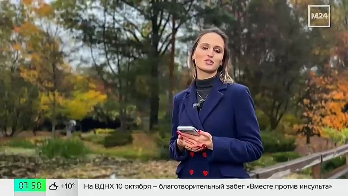 Москвичи охотятся за красивыми кадрами золотой осени в столичных парках