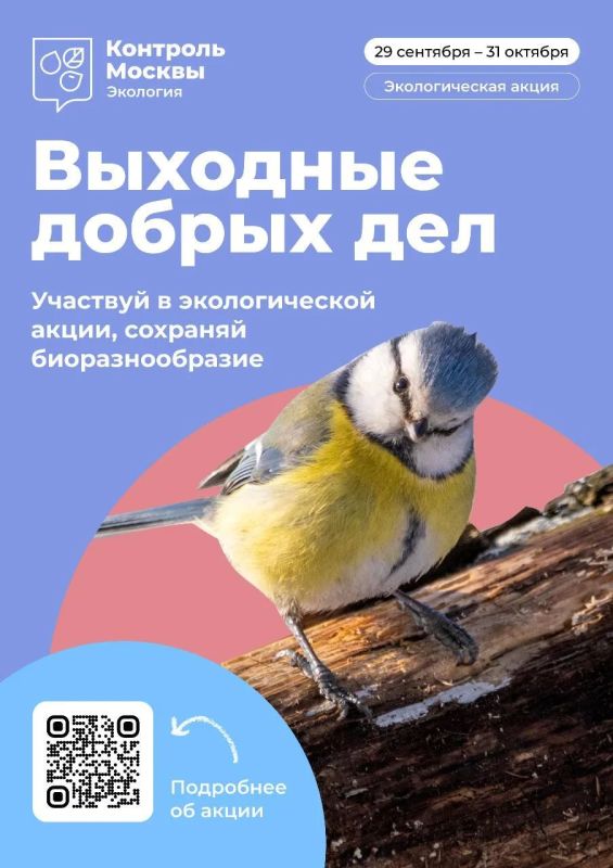 Лесные соседи переходят на зимнее меню