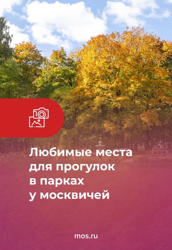 2026 год стал юбилейным сразу для нескольких столичных парков — «Сокольников», Измайловского, Фестивального и Лианозовского