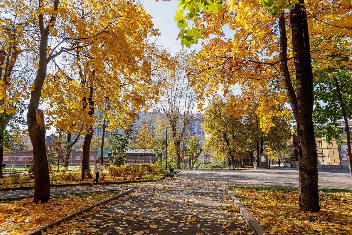 Планируем выходные в парках Москвы