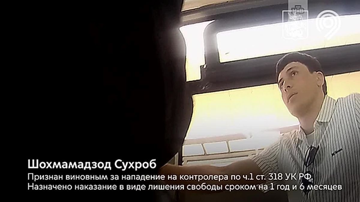 Безбилетник получил полтора года колонии за нападение на контролера в Москве
